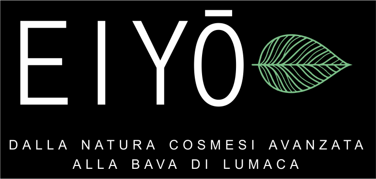 Logo Eiyo
